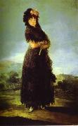 Francisco Jose de Goya Portrait of Mariana Waldstein. oil painting